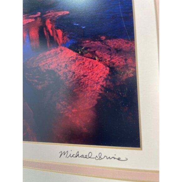 Spring Glow Sedona Color Photograph signed by Michael Irvine Stunning Scenic Fra - Picture 8 of 9